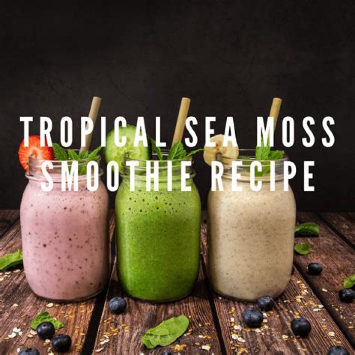Sea Moss Smoothie Recipes That Help Boost Immunity