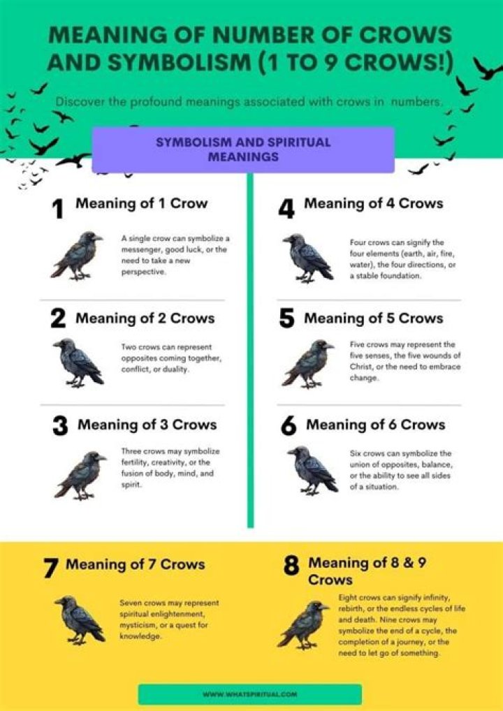What do Crows Symbolize? What do Crows Symbolize Spiritually